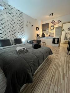 um quarto com uma cama grande e uma cozinha em Studio John's em Blagoevgrad