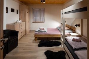 een slaapkamer met 2 stapelbedden en een bureau bij Chata Rodinka in Vinné