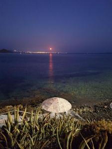 - Vistas al océano por la noche en Agali bay hotel, en Tinos