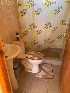 a bathroom with a toilet and a sink and a shower curtain at PICHIDANGUI, Cabañas Las Golondrinas in Pichidangui