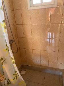 a bathroom with a shower with a glass door at PICHIDANGUI, Cabañas Las Golondrinas in Pichidangui