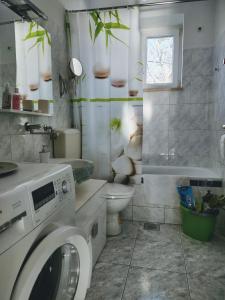 a bathroom with a washing machine and a toilet at Viridis in Rijeka