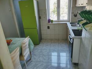 a kitchen with a green refrigerator and a table at Viridis in Rijeka