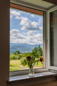 a vase of flowers sitting on a window sill at Nasze Górskie in Wojcieszyce