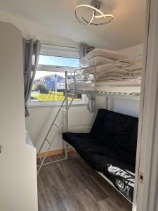 a room with a bunk bed and a ladder at Padstow Lodge in Padstow