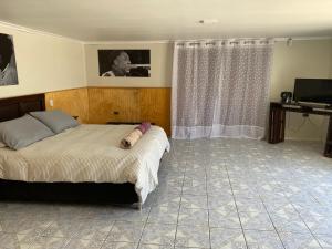 1 dormitorio con 1 cama y TV en Suite Loreto, en Caldera