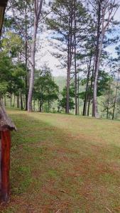 Landskap semula jadi dekat dengan lodge