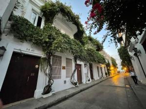 an empty street with ivy growing on a building at Casa de los sueños in Cartagena de Indias