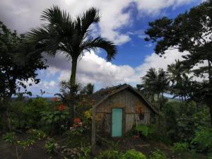 a small house with a palm tree in a field at Tanna Lava View Bungalows in Lénakel