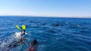 een groep mensen in het water op waterski's bij Villa Anna & Snake in Hurghada