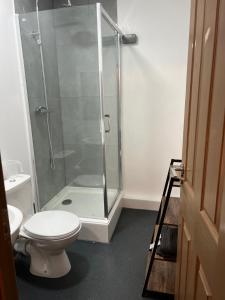 een badkamer met een douche en een toilet bij 2 bedroom flat in Swansea