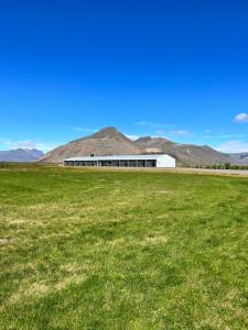 a white building in a field with mountains in the background at Seljavellir Guesthouse in Höfn