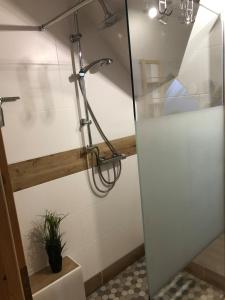 a shower with a glass door in a bathroom at Ferienwohnung Kalle in Osterbruch