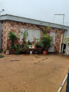 une maison avec un tas de plantes en pot devant elle dans l'établissement Apartamento inteiro com área e garagem privativa, à Belo Horizonte