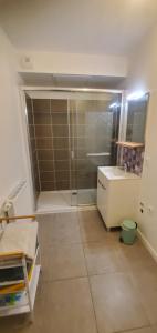 a small bathroom with a shower and a sink at T2 au cœur du bassin d'arcachon in Gujan-Mestras