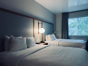 Habitación de hotel con 2 camas y ventana en Hotel Scottsdale en Scottsdale