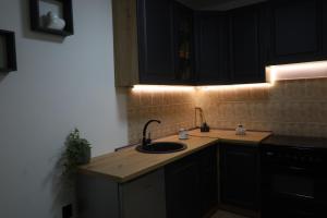 Kuchyň nebo kuchyňský kout v ubytování Hacijenda + 18 fotografií