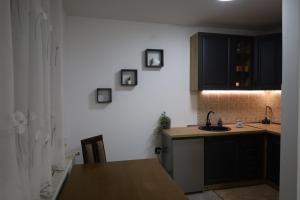 eine Küche mit einer Spüle und einer Arbeitsplatte in der Unterkunft Hacijenda in Vukovar