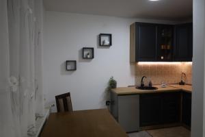 a kitchen with a sink and a counter top at Hacijenda in Vukovar