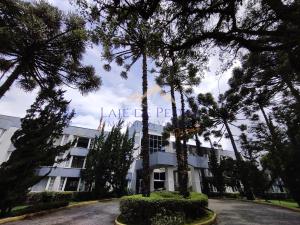 un edificio con palmeras delante en Laje de Pedra Mountain VillagePrime, en Canela