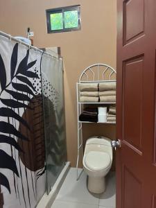 Delicias的住宿－Casa Delicias del Sol，一间带卫生间和淋浴帘的浴室