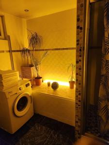 une chambre avec un lave-linge et une fenêtre ornée de plantes dans l'établissement Villa 20 min de Paris avec spa, piscine chauffée et club, à Gagny