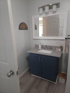 uma casa de banho com um lavatório e um espelho em Hidden Gem close to Athens/Logan em Nelsonville