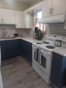 a kitchen with a white stove and blue cabinets at Hidden Gem close to Athens/Logan in Nelsonville