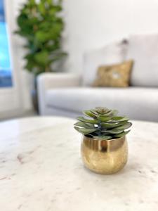 a small plant in a gold vase on a table at Tennessee Penthouse in Málaga
