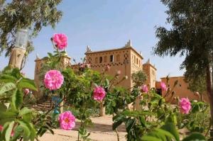 Un ramo de flores rosas delante de un edificio. en LODGE bennouri, en Telouet