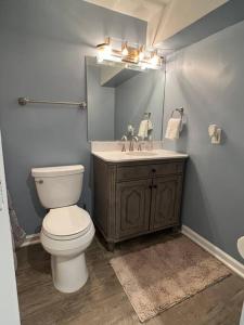 a bathroom with a toilet and a sink at Beautifully Acquainted Home. Close to DT GSO! in Greensboro