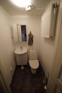 ein kleines Bad mit WC und Waschbecken in der Unterkunft House close to the Sea in Sundsvall