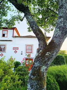 uma árvore em frente a uma casa branca em Quinta da Maínha - Charming Houses em Braga