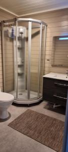 a bathroom with a shower and a toilet and a sink at Hele utleiebolig Årøybuktneset in Lyngseidet +24 photos