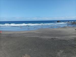 Gallery image of Tepe playa Picasso in Santa Cruz de Tenerife