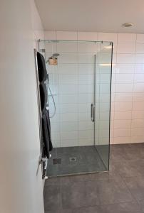 um chuveiro com uma porta de vidro na casa de banho em Zeta Motel em Hamilton