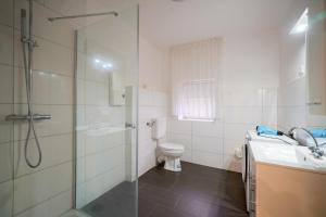 a bathroom with a shower and a toilet and a sink at Smile Apartment in Tiddische +22 photos