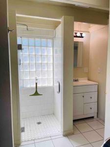 a bathroom with a shower and a sink at Quaint Historic Cottage in Downtown Phoenix in Phoenix