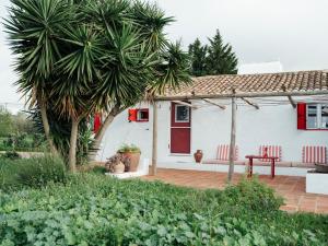 una casa bianca con una porta rossa e una palma di Monte Alto da Guerra a Quinta da Cascalheirinha