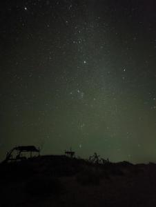 Una noche estrellada con un grupo de animales en una colina en Para un poquito relax en Barra de Valizas