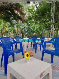 un grupo de sillas azules y una mesa con un jarrón con una flor en Apartamento pisó 1 parqueo, piscina, terraza y más en Azua de Compostela