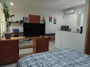 TV a/nebo společenská místnost v ubytování Hotel Cabañas Safari