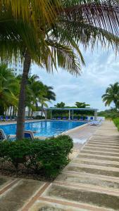 a swimming pool with a palm tree next to a beach at Relajate en un hermoso apartamento Duplex cerca de la playa y piscina en Playa Blanca, Farallon in Río Hato