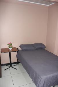 um quarto com uma cama e uma mesa com uma planta em Hotel Pecos Bill em San José