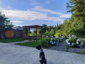 Foto Enshis asuva majutusasutuse 恩施硒坪民宿 Enshi Xiping Homestay galeriist