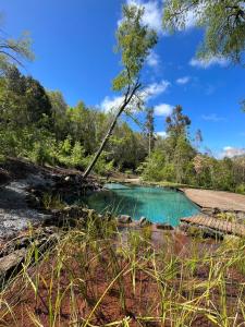 uma piscina de água azul numa floresta em Cabaña en el bosque-Termas de Chillán em Recinto