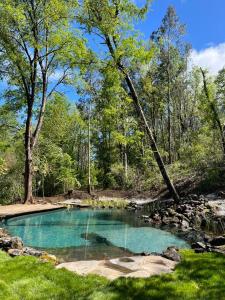 a pool of water in the middle of a forest at Cabaña en el bosque-Termas de Chillán in Recinto