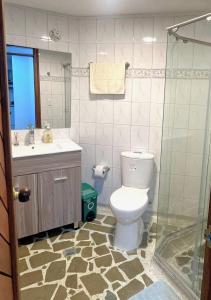 La salle de bains est pourvue de toilettes, d'un lavabo et d'une douche. dans l'établissement Bonito apartamento con excelente ubicación, à Manizales