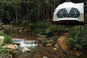 a dome tent over a stream in a forest at LTC Dalat Villa & Resort in Ðưc Trọng
