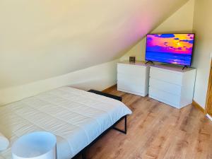 a bedroom with a bed and a flat screen tv at Bright, Stylish & Cozy Private Attic Unit near NYC! in Haledon